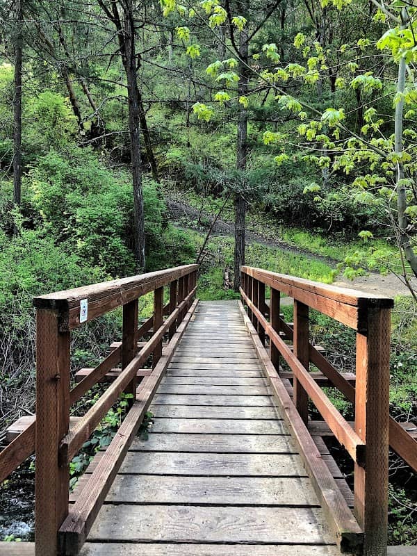 Jacksonville Forest Trails - Image 1