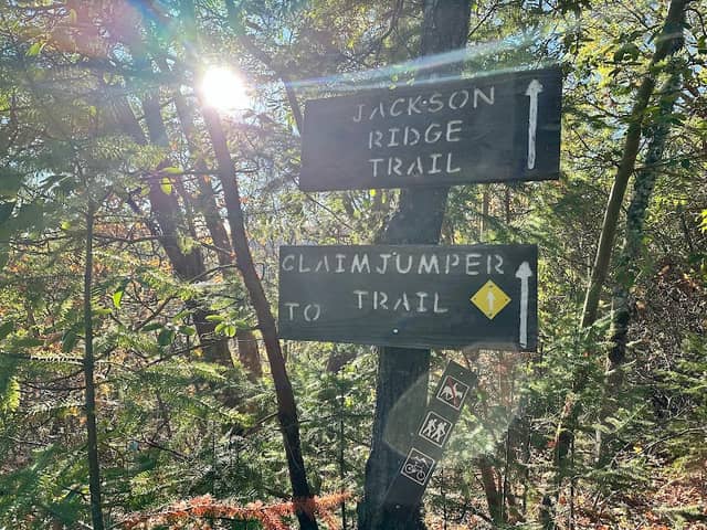 Jacksonville Forest Trails - Image 2