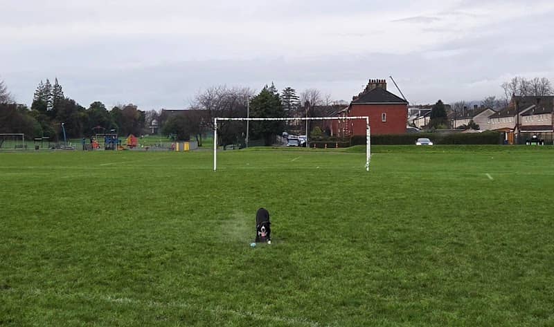 Whitecrook Park - Image 1