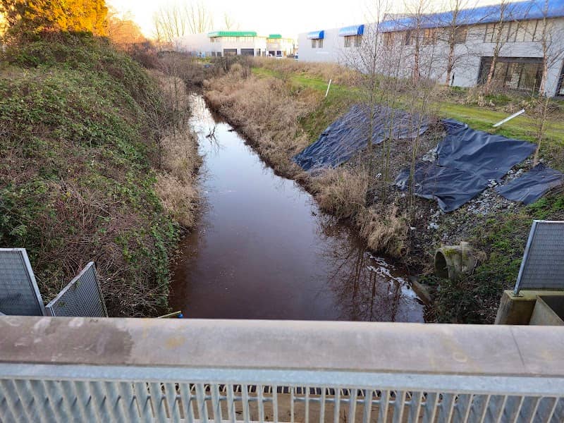 Bath Slough & Trail - Image 2