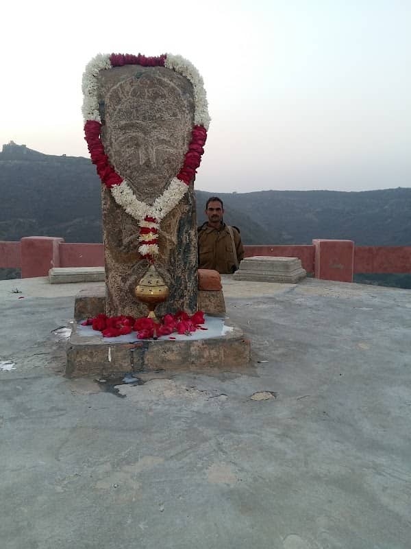 The Tiger Hill - Image 1