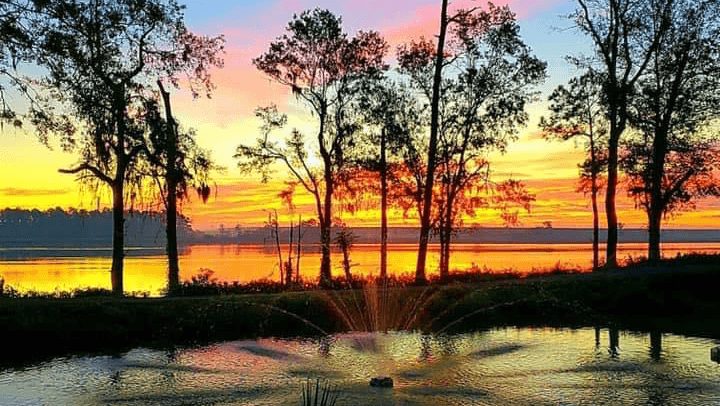 The Belville Riverwalk Park - Image 2