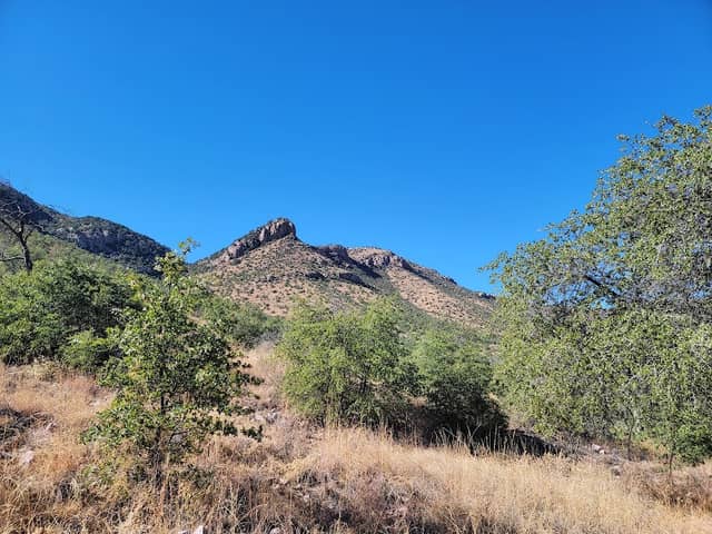 Coronado National Memorial - Image 3