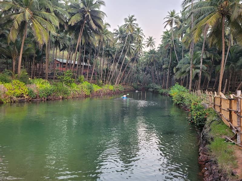 Cabo de Rama backwater - Image 1