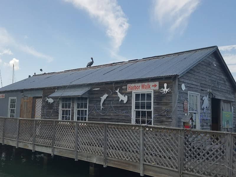 Turtle Cannery Museum - Image 1