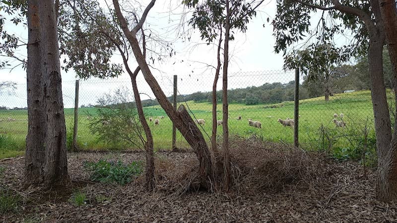 Whitby Falls Farm Walking Trail - Image 2