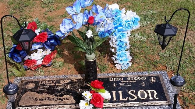 McDowell Memorial Park - Image 1