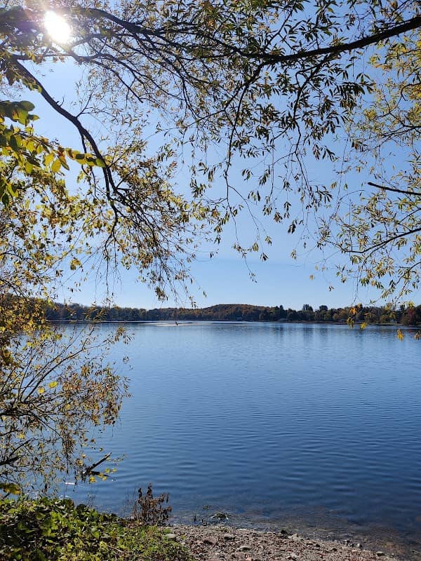 Lake Shore Marshes - Image 2