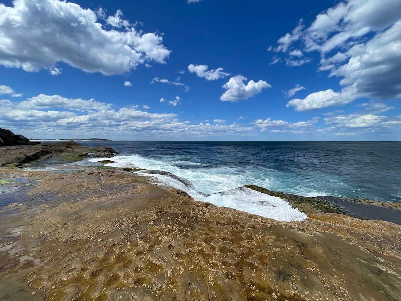 Dee Why Cliff Reserve - Image 2