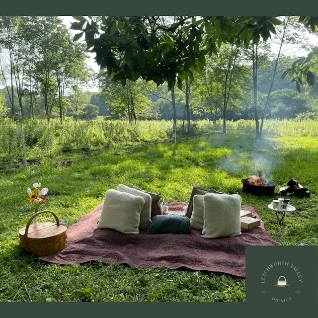 Letchworth Valley Picnics - Image 3