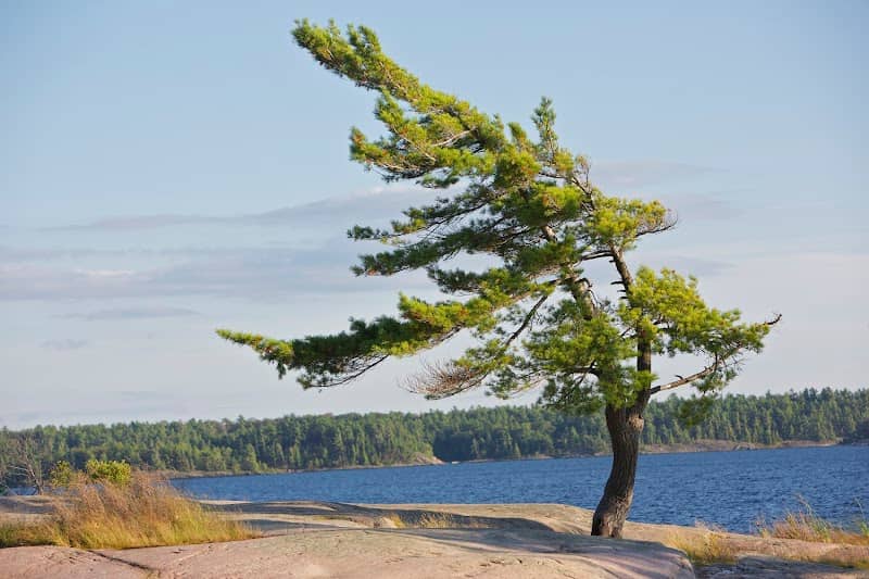 Killbear Provincial Park - Image 1