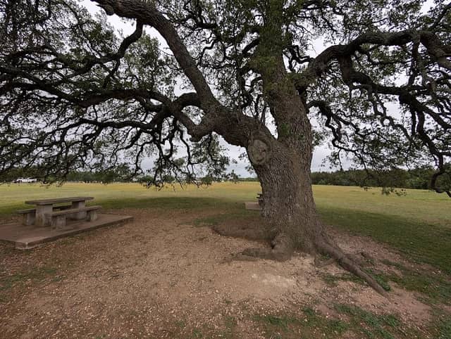 Founders Memorial Park - Image 1