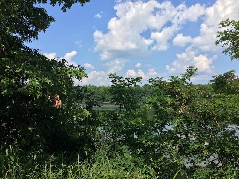 Riverview - Image 1