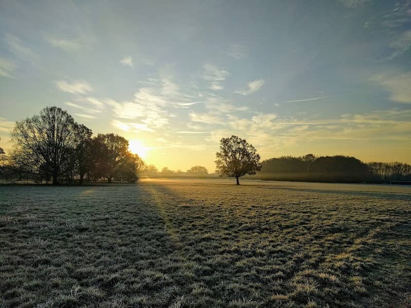 Mulbarton Common - Image 2