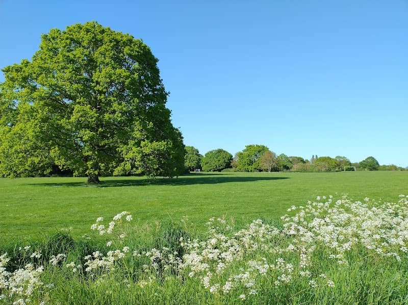 Mulbarton Common - Image 1