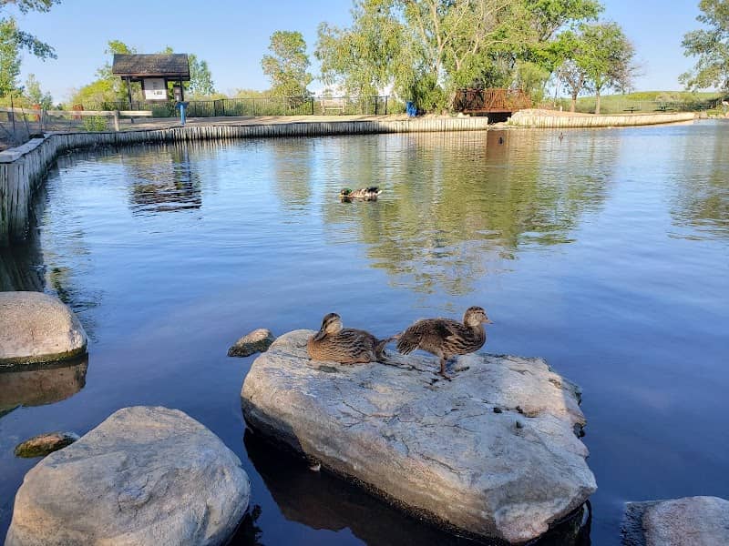 Wascana Waterfowl Park Display Ponds - Image 2