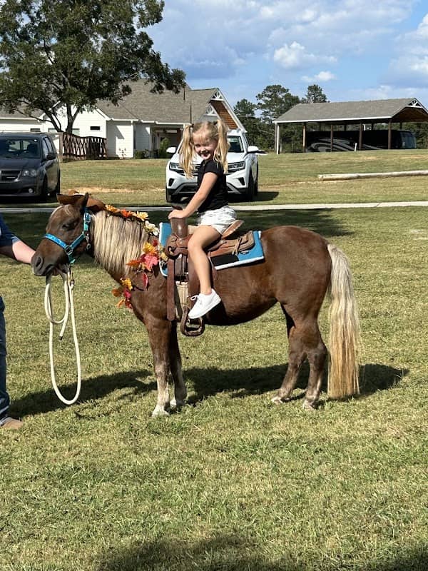 Nettie's Party Pals Georgia - Image 1