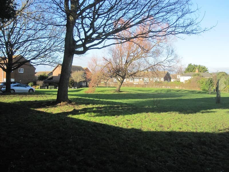 Orangie's Green - Image 2