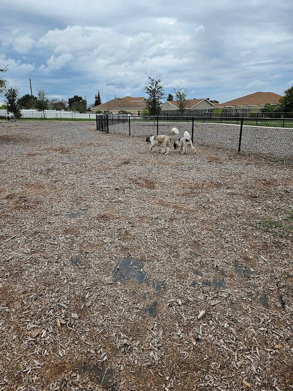 Winter Haven Dog Park - Image 2