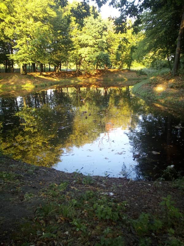 Staw Krupnik - Image 1