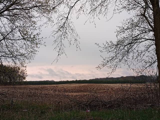 McMurtrie Preserve - Image 2