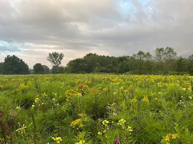 Oberlin Preserve - Image 2