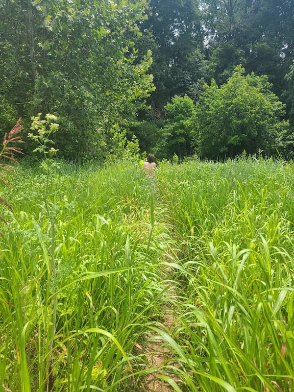 Ghent Hill Park - Image 2