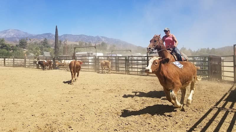 Yucaipa Equestrian Center - Image 1