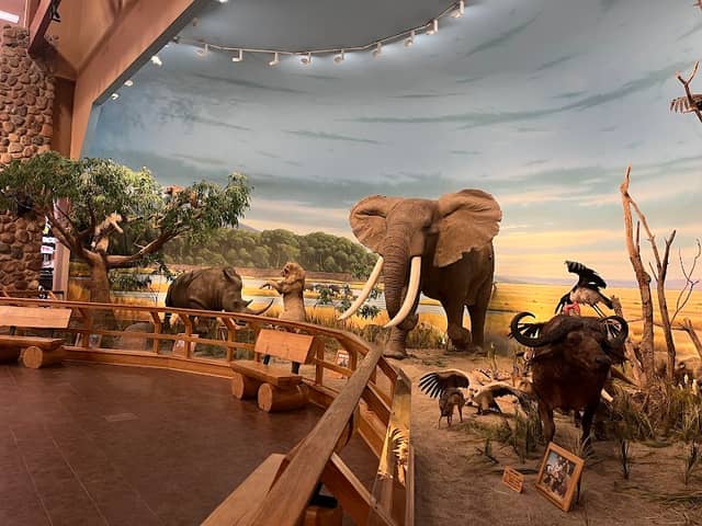 World's Largest Bronze Wildlife Sculpture - Image 2