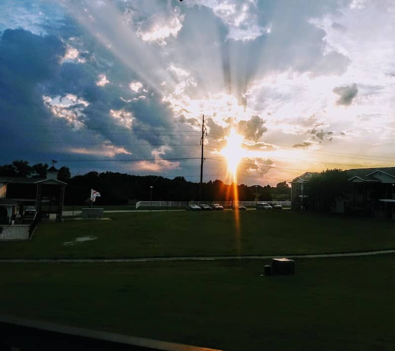 Acme Field - Image 2