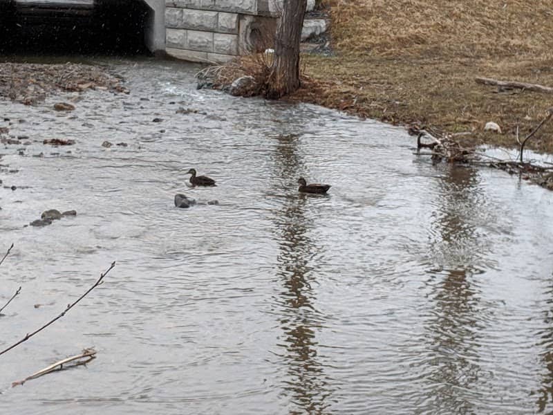 Smelt Brook Park - Image 2