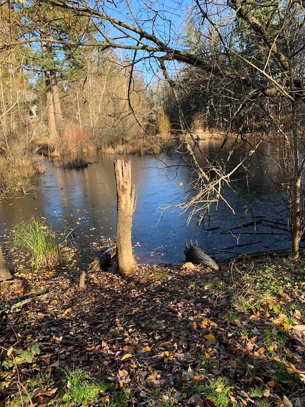 Northridge Park - Image 1