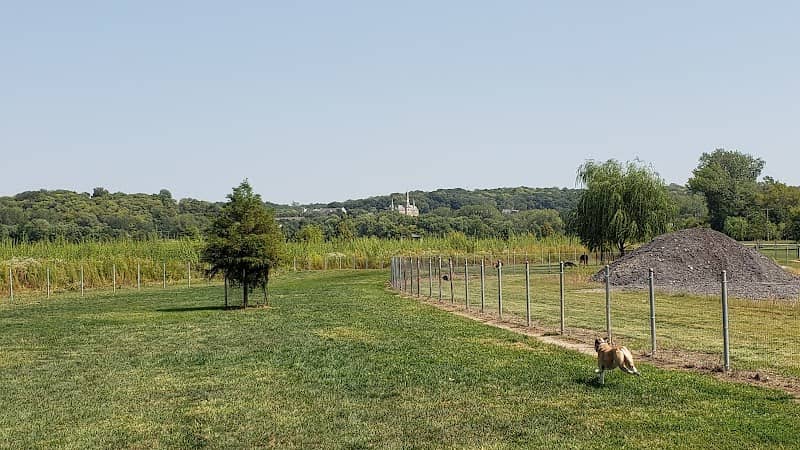 Platte Landing Park Dog Park - Image 1