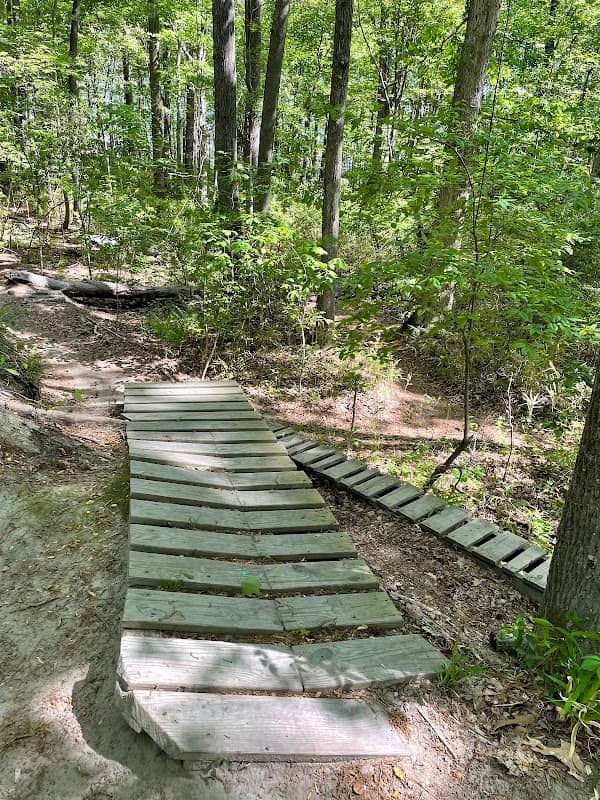 Indian River Park South Side - Image 1