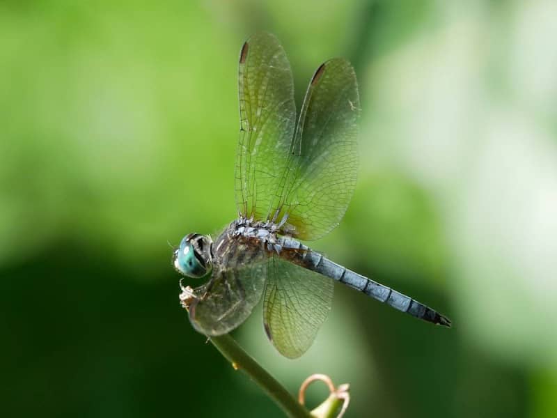 Quarry Pond Park - Image 2