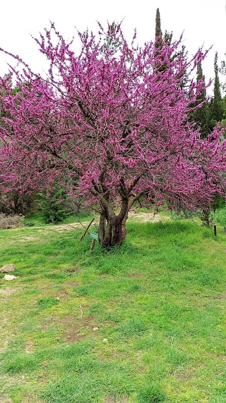 Botanical Garden Nursery - Image 2