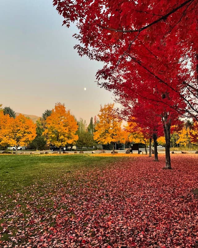 Deerfield Park - Image 1