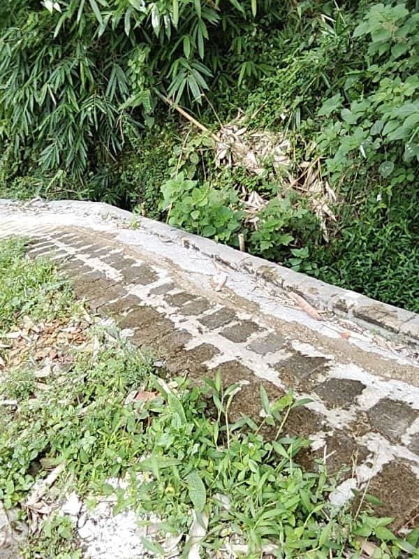 Batu Alam Farm - Image 2