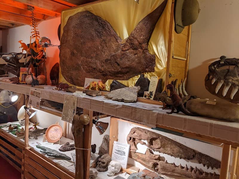 Adventure Safaris Dinosaur Warehouse - Image 2