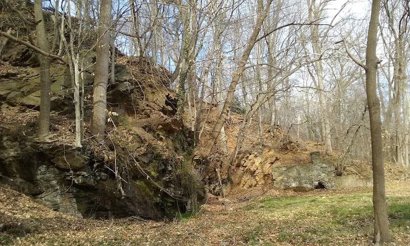 Shrigley Woods Park - Image 1