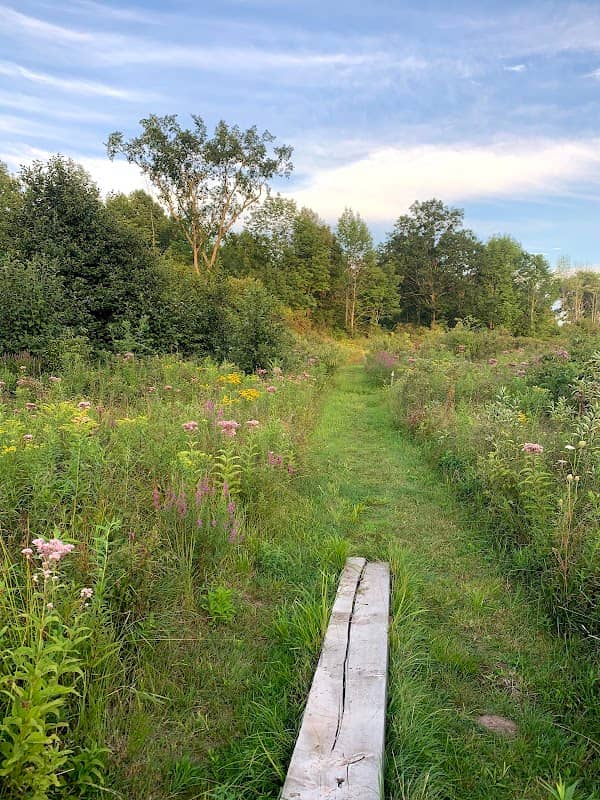 Sand Lake Walking Trail - Image 2