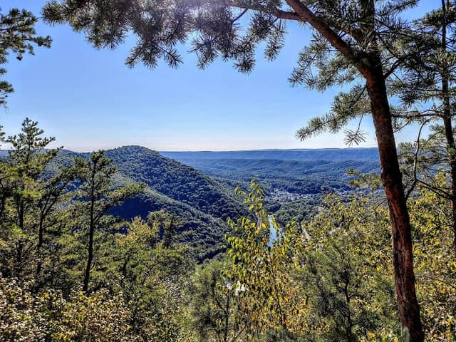 Mapleton Overlook - Image 2