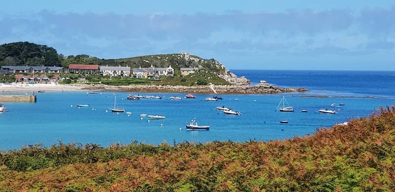 Old Town Bay - Image 1