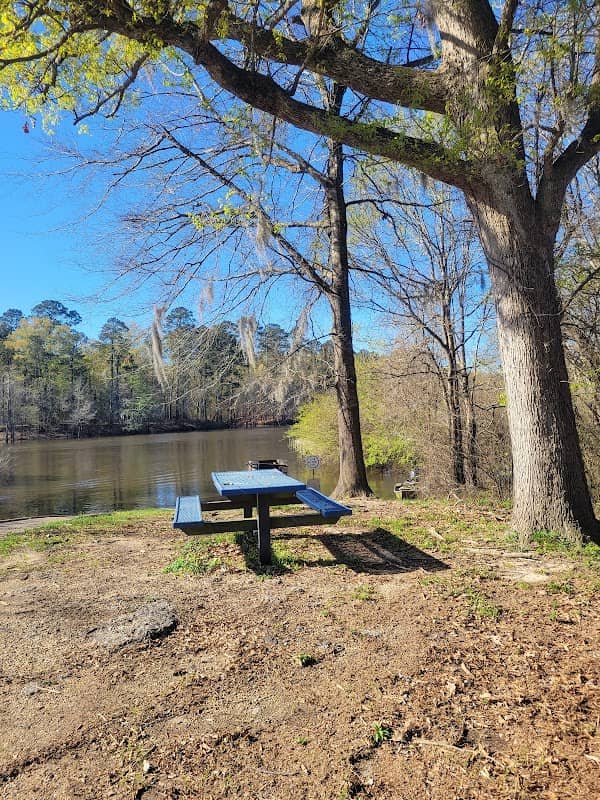 D'Arbonne National Wildlife Refuge - Image 2