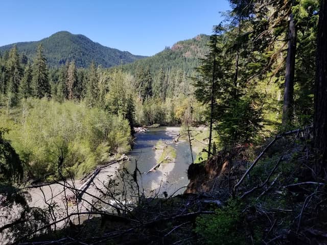 Skokomish Lower South Fork Camp Comfort Trailhead - Image 1