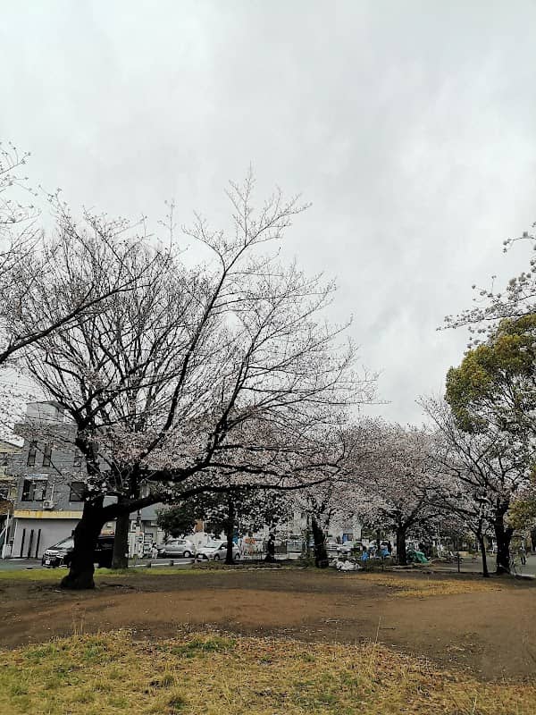 Wataridashinmachi Park - Image 2