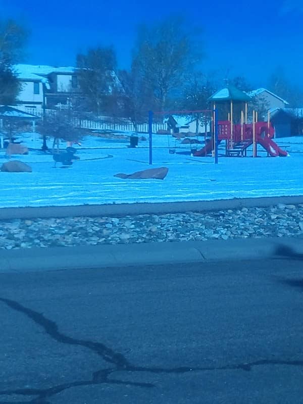 Susie McMurry Park - Image 2
