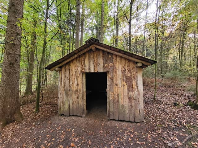 Unterschlupf im Forst - Image 1