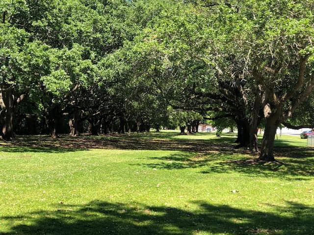 Jim Bowie Park - Image 1