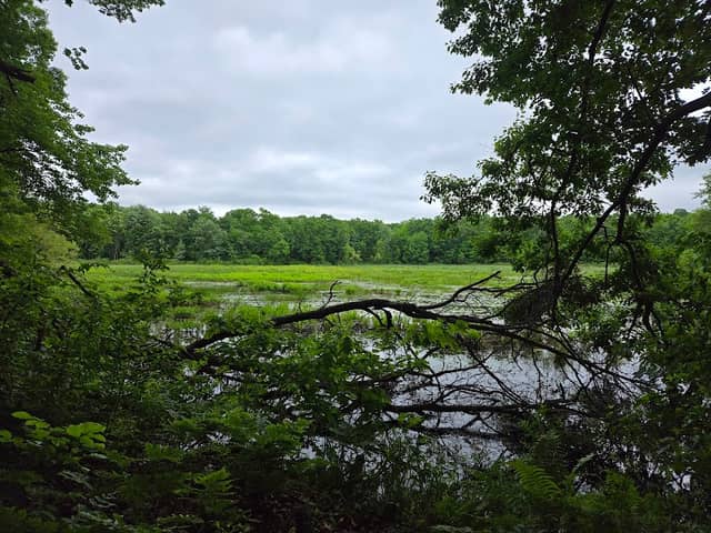 Bath Rd Trailhead - Image 1